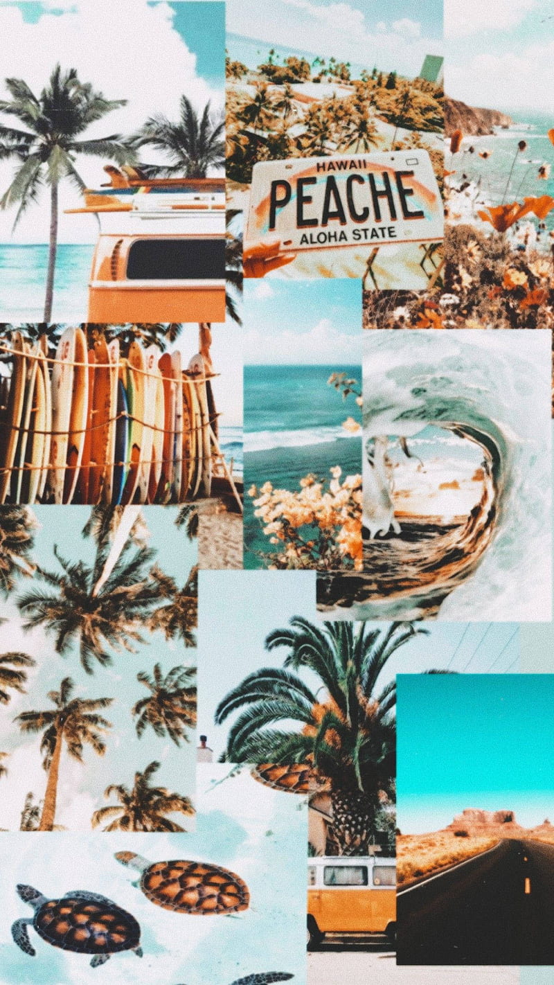 Aesthetic Summer Collages Desktop Desktop Wallpaper  Wallpaperforu