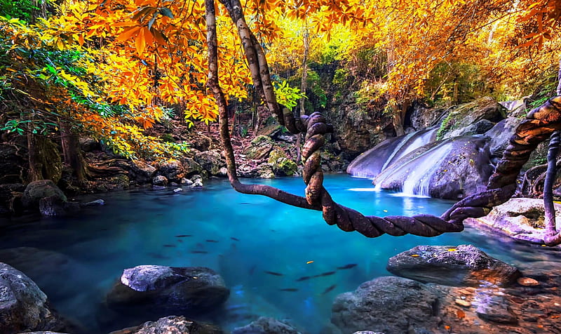Erawan Falls, forest, autumn, Thailand, National Park, turquoise water, waterfall, bonito, HD wallpaper
