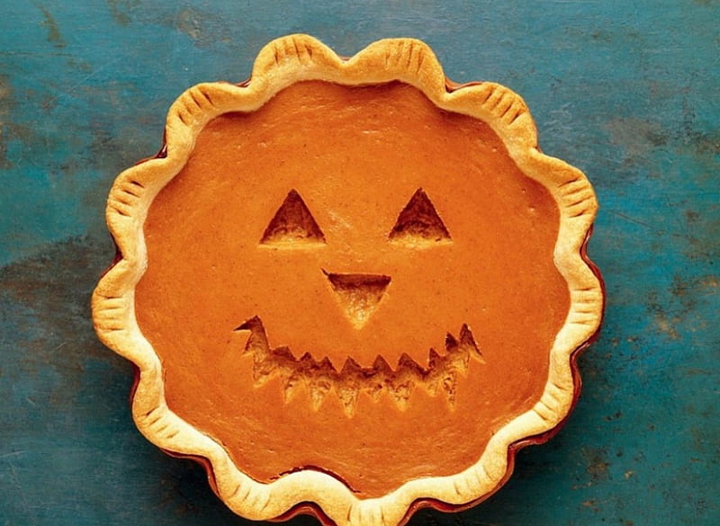 Download Thanksgiving Aesthetic Pumpkin Pie Pattern Wallpaper  Wallpapers com