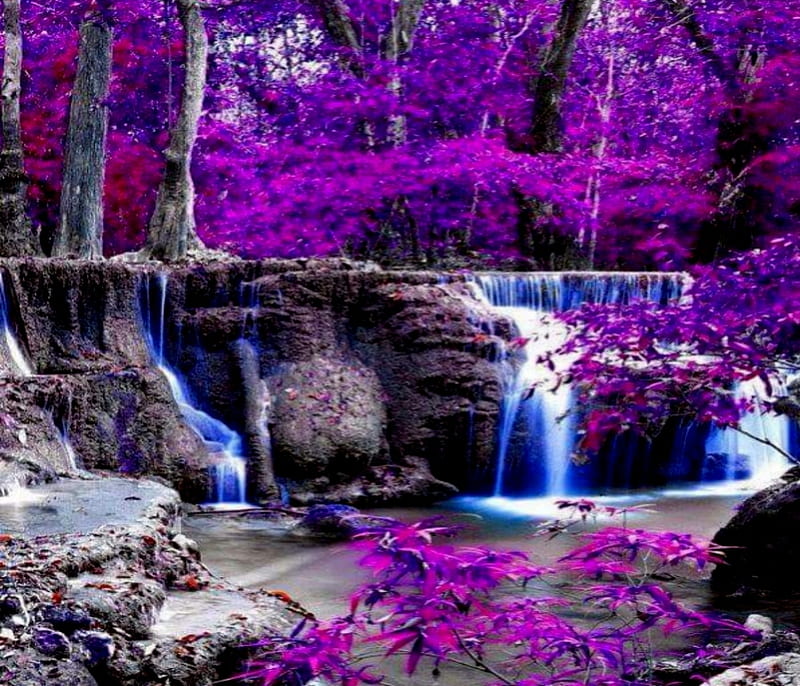 In The Forest And Waterfalls, Purple, Waterfalls, Forest, Waters, Rocks, HD wallpaper