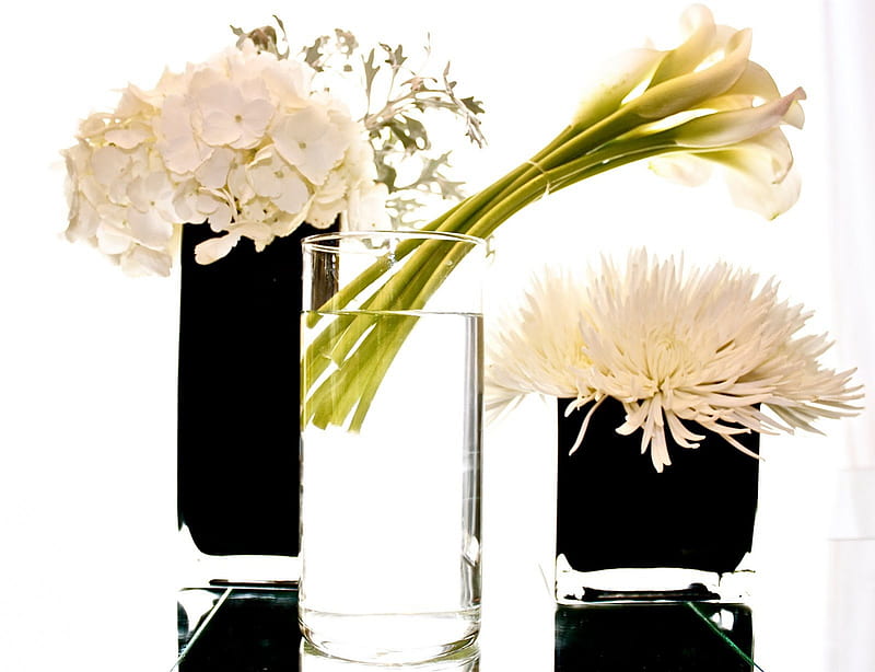 Sublime purity, therapy, hydrangea, clear, black, bonito, floral, green, spider mums, calla lilies, crystal, reflections, white, HD wallpaper