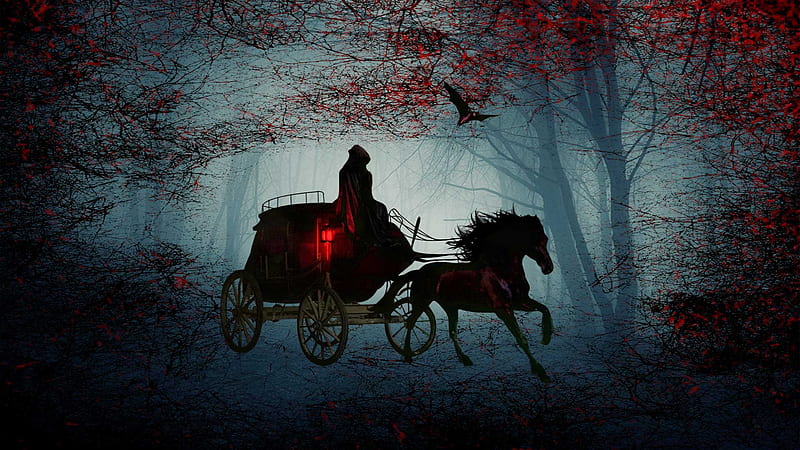 Dark Night, Horse, Forest, Scary Forest, Cloak, Halloween, Dark Horse, Haunted Forest, Carriage, Scary Night, Mist, HD wallpaper
