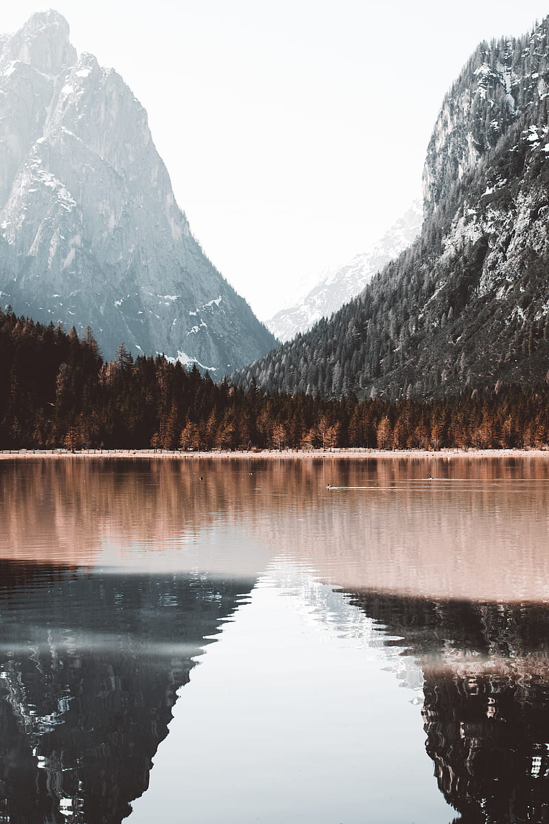 lake, mountains, forest, shore, landscape, HD phone wallpaper
