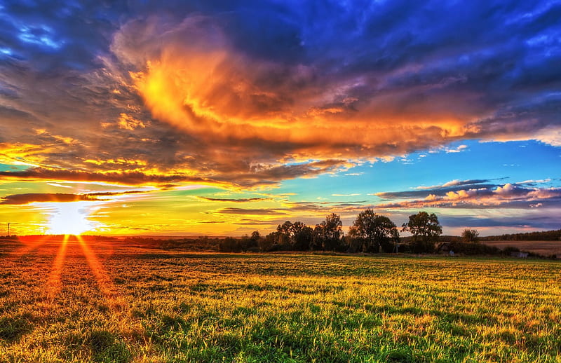 Sunset on the Prairie sun, grass, orange, yellow, clouds, landscape, cenario, nice, multicolor, scenario, beauty, sunrise, paisage, paysage, cena, black, sky, trees, peisaje, panorama, sunrays, cool, awesome, prairie, hop, white, landscape, field, colorful, scenic, brown, gray, beautiful grasslands, graphy, green, sunsets, sun rays, scenery, beije, blue amazing, multi-coloured, view, colors, maroon, a beautiful day, paisagem, plants, day, colours, nature, meadow, natural, scene, HD wallpaper