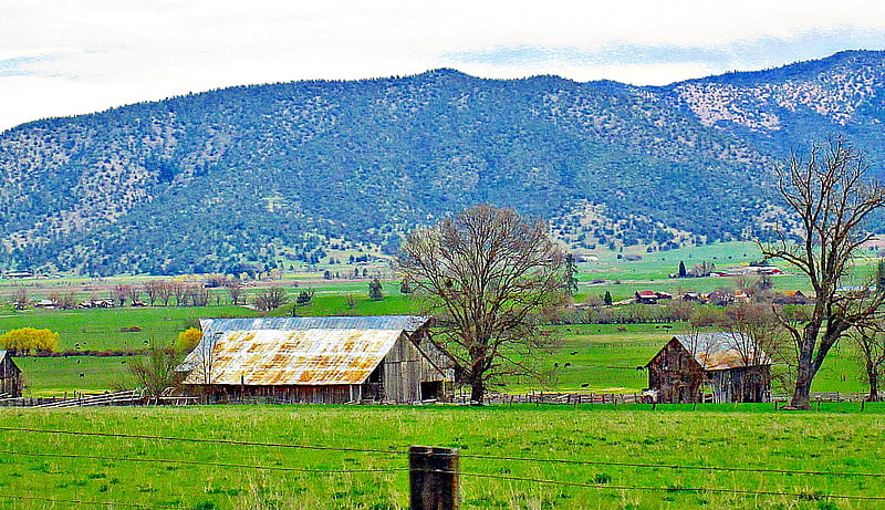old homestead, hills, fields, green, barn, HD wallpaper