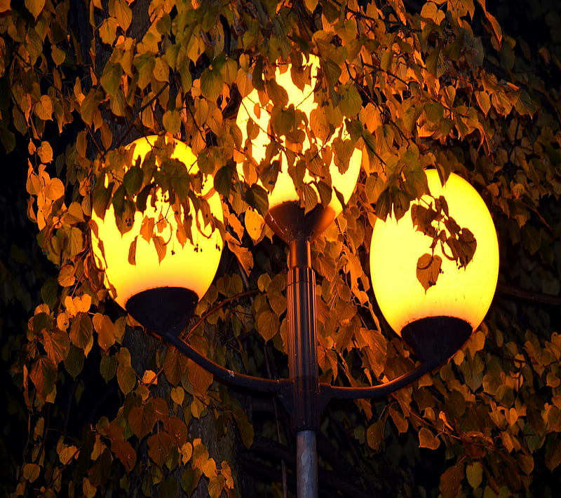 Night Lamp Post, 2160x1920, HD wallpaper