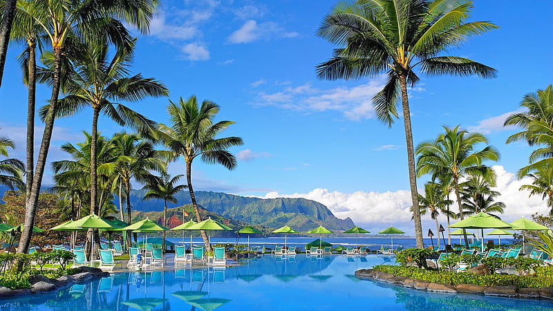 Hawaii Hotel Mountain Palm Tree Pool Resort With Reflection Travel, HD wallpaper