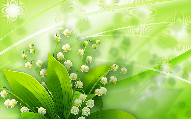 Art Floral, garden, lily of the valley, nature, spring, HD wallpaper