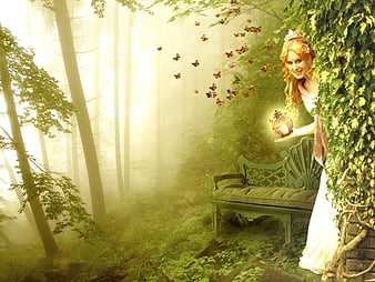 THE TREASURE HUNT, forest, magic, treasure, butterflies, princess, fog,  light, HD wallpaper | Peakpx