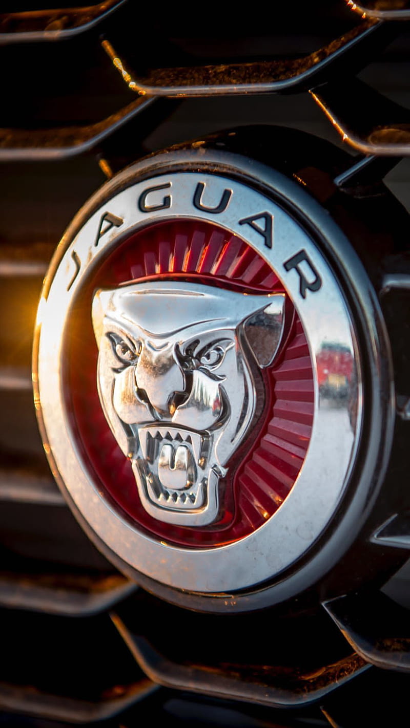 Jaguar, logo, HD wallpaper | Peakpx