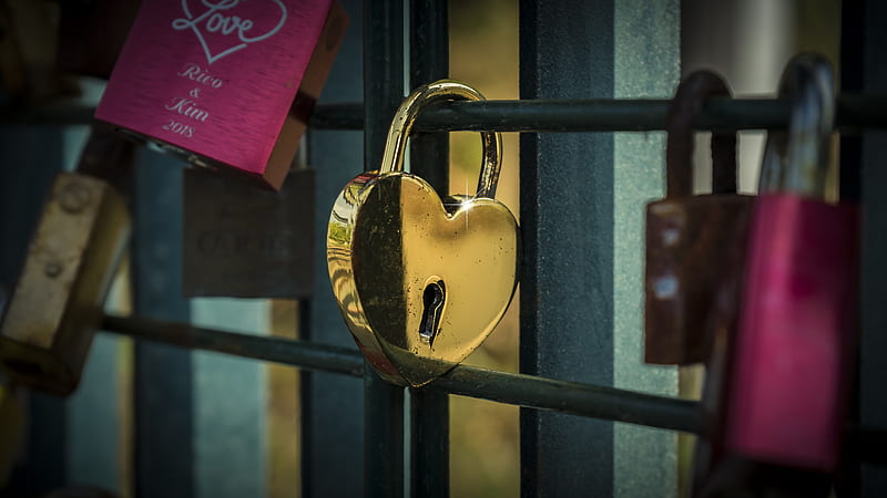 lock, heart, golden, love, closed, HD wallpaper