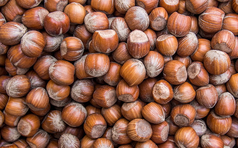 hazelnuts texture, nuts background, big nuts, background with hazelnuts, hazelnuts pattern, HD wallpaper