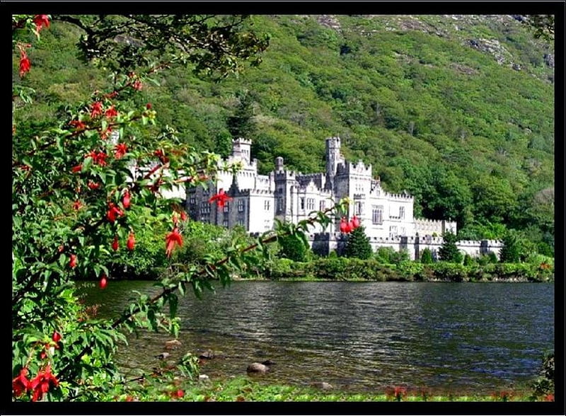 Irish Castle, mountain, ireland, flowering tree, castle, lake, HD wallpaper
