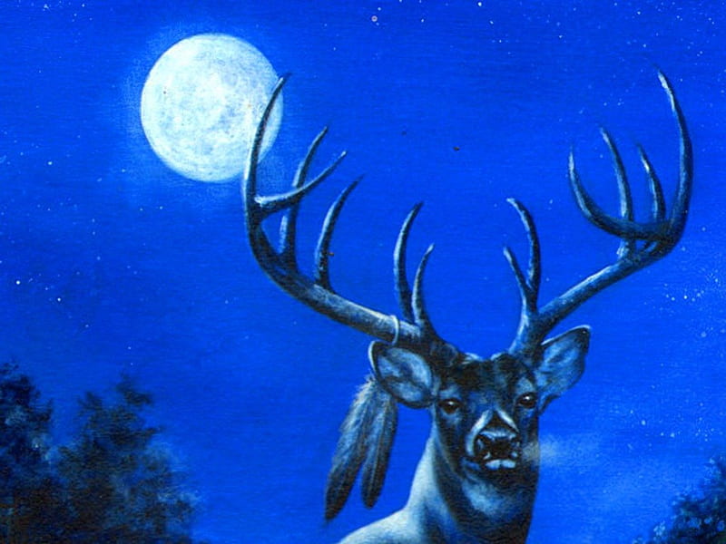 Night of the moon, antlers, moon, Deer, buck, sky, HD wallpaper