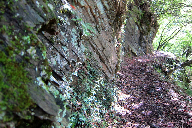 Mountain trail, mountain, lush, rock wall, trail, lichen, HD wallpaper