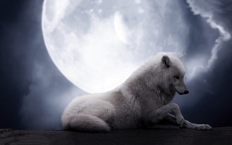 The Wolf Moon, arctic, fantasy, planet, fantastic, resting, wolves, sky, HD wallpaper
