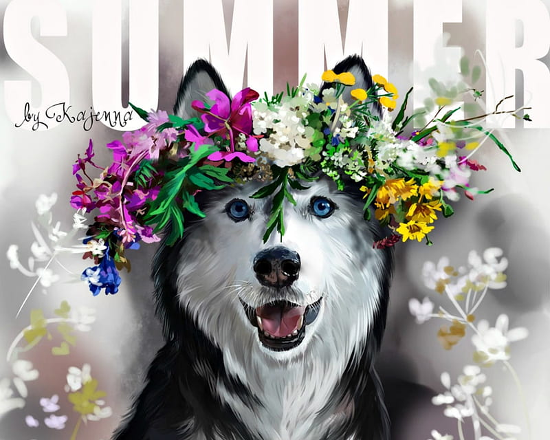 Summer, art, lorri kajenna, black, animal, flower, white, pink, husky, dog, HD wallpaper