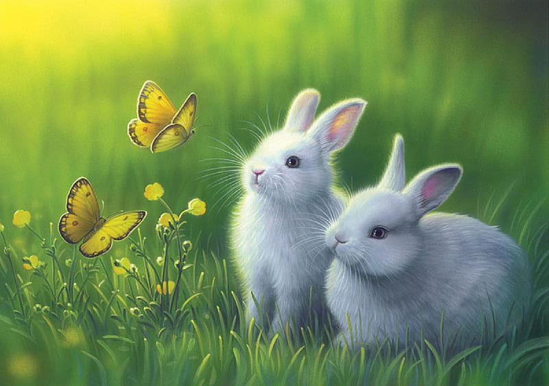 Fascinated., rabbit, butterfly, flower, insect, bunny, HD wallpaper