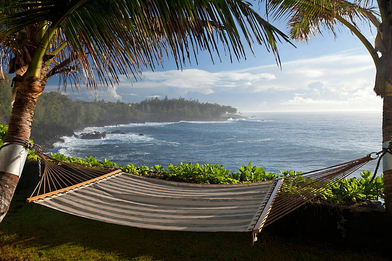 Relaxing Hammock with View of Big Island's Volcanic Coastline Hawaii,  polynesia, HD wallpaper | Peakpx