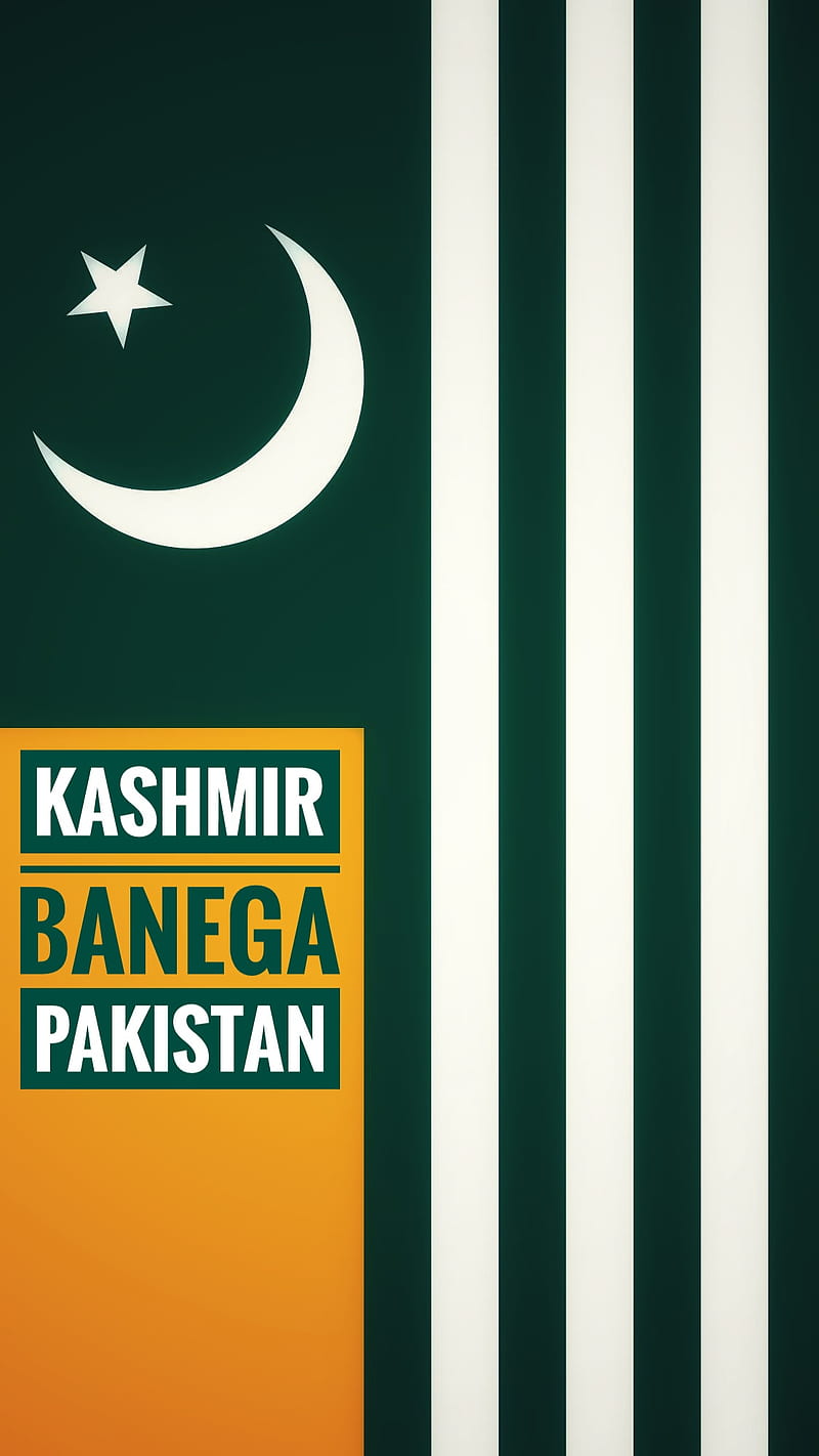 Kashmiri Flag, black day, kashmir, pakistan, HD phone wallpaper