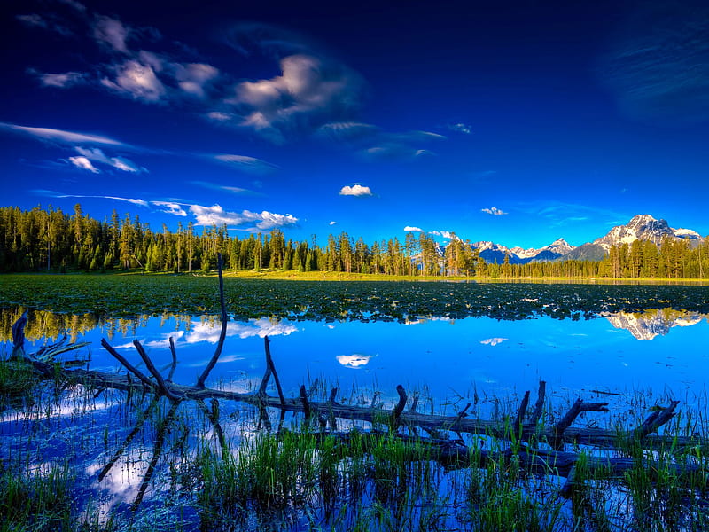 Lake, grass, background, nice, multicolor, mounts, flowers, paisage, mountains, white, beautiful, leaves, roots, green, scenery, beije, blue, lakes, maroon, paisagem, nature, reflected, branches, pc, scene, clouds, cenario, lagoon, scenario, peaks, forests, rivers, paysage, cena, trees, pines, sky, panorama, water, cool, awesome, hop, fullscreen, landscape, colorful, brown, gray, laguna, trunks, aquatic plants, graphy, mirror, amazing, multi-coloured, view, water lily, colors, leaf, plants, colours, reflections, natural, HD wallpaper