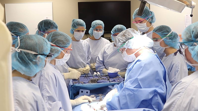 Surgical Technologist Schools, Programs, Training, Degrees MN, HD wallpaper