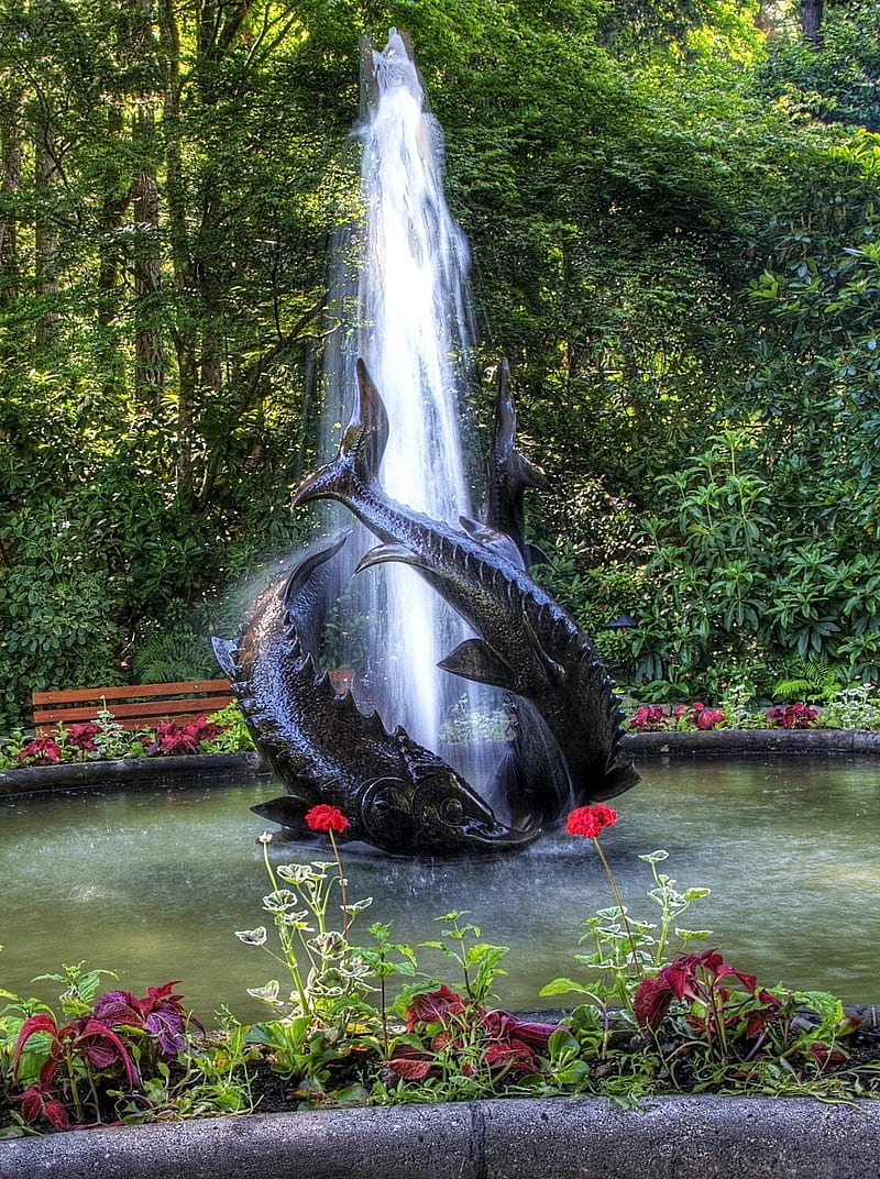 fountain, nature, water, HD phone wallpaper