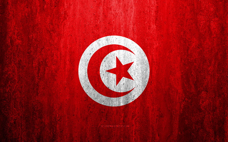 Flag of Tunisia stone background, grunge flag, Africa, Tunisia flag, grunge art, national symbols, Tunisia, stone texture, HD wallpaper