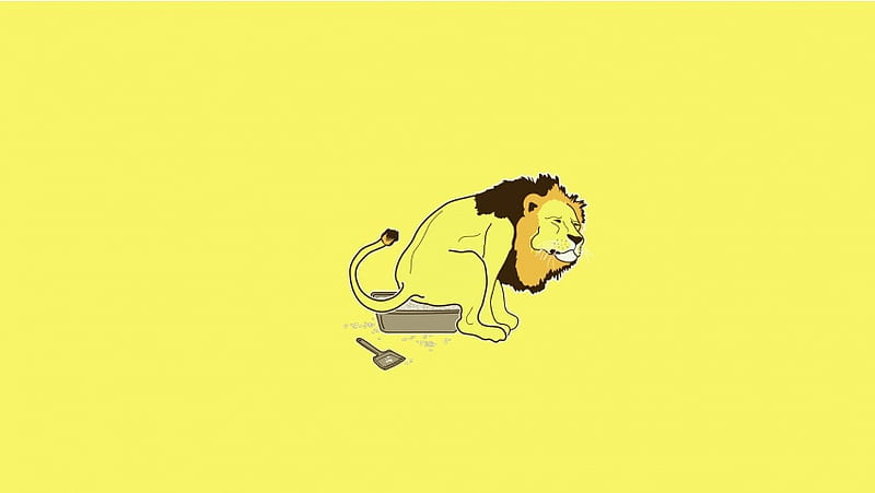 Lion Using A Litter Box, HD wallpaper