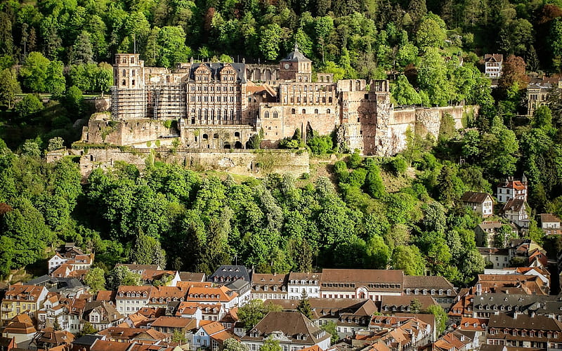 Heidelberg Castle, Germany, forest, germany, medieval, castle, HD wallpaper