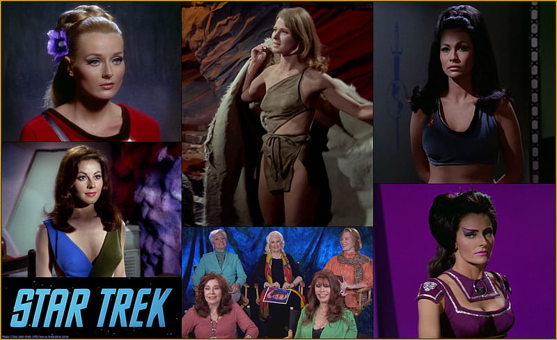 The Women of Star Trek:The Original Series, Women from Star Trek, Lee Meriwether, BarBara Luna, Celeste Yarnall, Sherry Jackson, Star Trek, Mariette Hartley, HD wallpaper