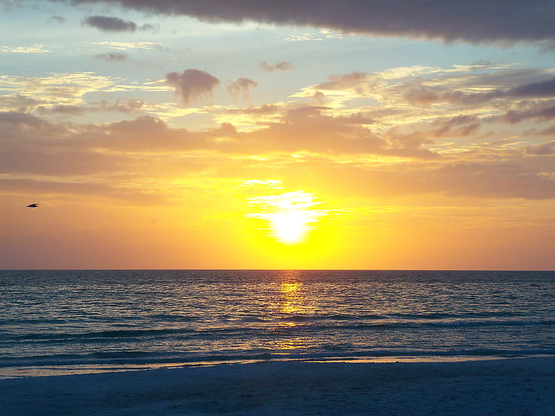 ~Longboat Key~Sarasota, Florida~, sun, ocean, bonito, sunset, clouds, sea, beach, florida, bird, nature, HD wallpaper