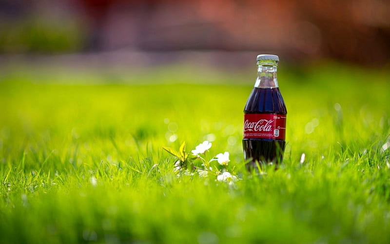 This Coca Cola Is For You, ice cold, coca cola, grass, bottle, HD wallpaper