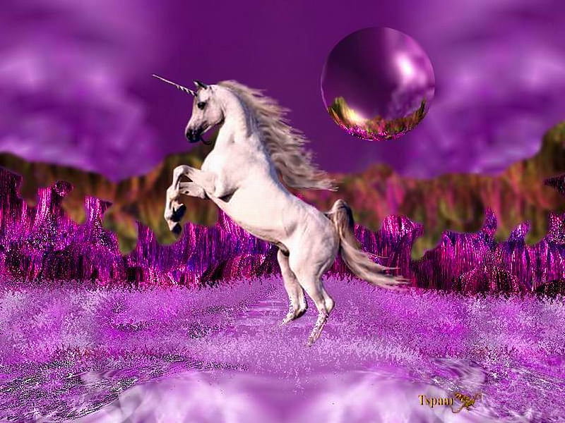 beautiful unicorn in purple world, fantasy, unicorn, abstract, animals, HD wallpaper