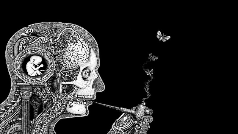 Making Life, skeleton, gray, livingdoll, plant, mushroom, black and white, butterfly, gris, smoke, life, la maquina, black, baby, human, insect, skull, pipe, white, brain, HD wallpaper