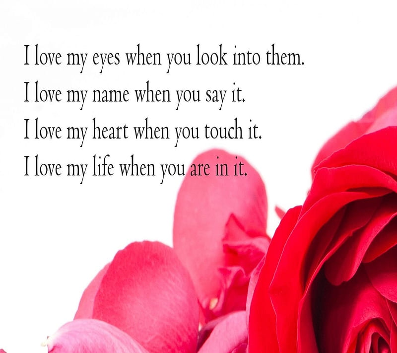 love life, couple, feelings, heart, name, petals, romance, rose, HD wallpaper