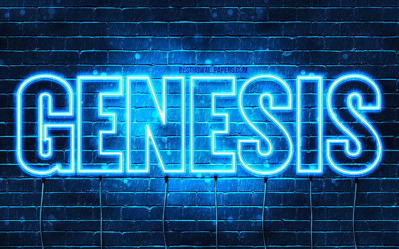 Genesis Photos Download The BEST Free Genesis Stock Photos  HD Images