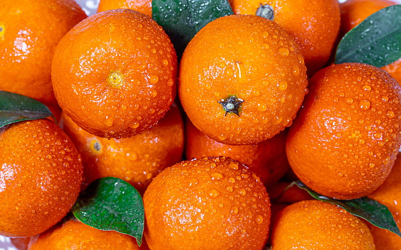 tangerines, citruses, fruits, orange tangerines, background with tangerines, HD wallpaper