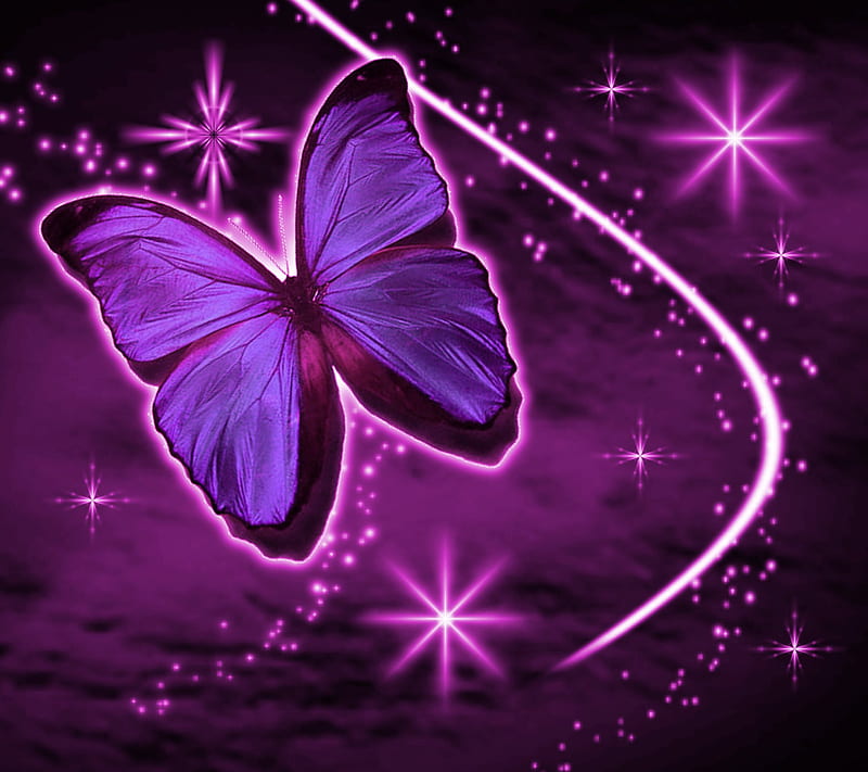 Destellos púrpuras, destellos, mariposas, morado, de colores, Fondo de  pantalla HD | Peakpx