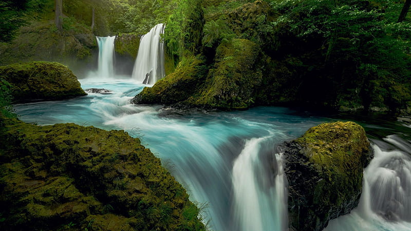 Falls to Little White Salmon River, Washington, trees, cascades, rocks, water, usa, HD wallpaper