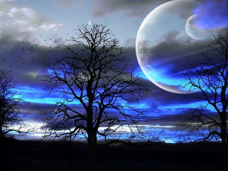BLUE EVENING, moons, planets, silouettes, trees, clouds, skies, sunsets, nightfall, shadows, moonlight, horizons, HD wallpaper