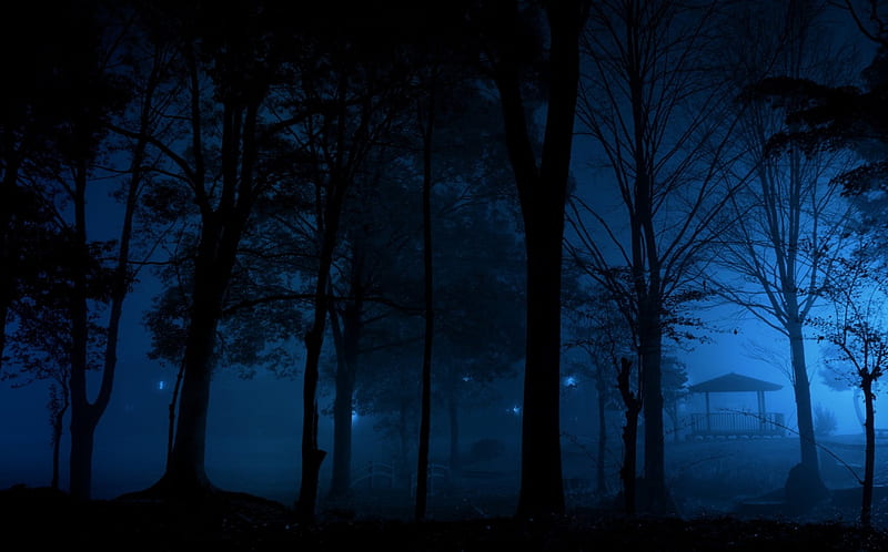 Cold Mist Night, trees, cold night, blue, night, HD wallpaper