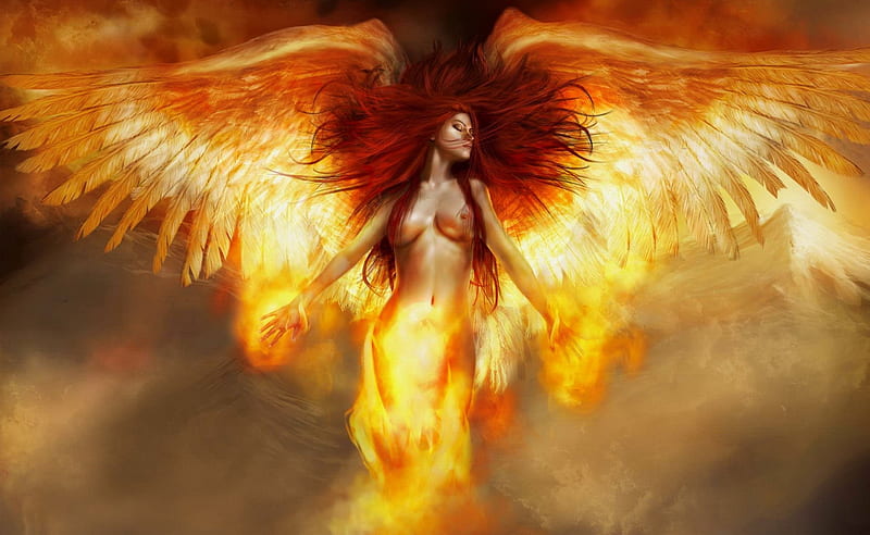 Burning angel, angel, fire, burn, wings, girl, bonito, Phoenix, woman, HD wallpaper