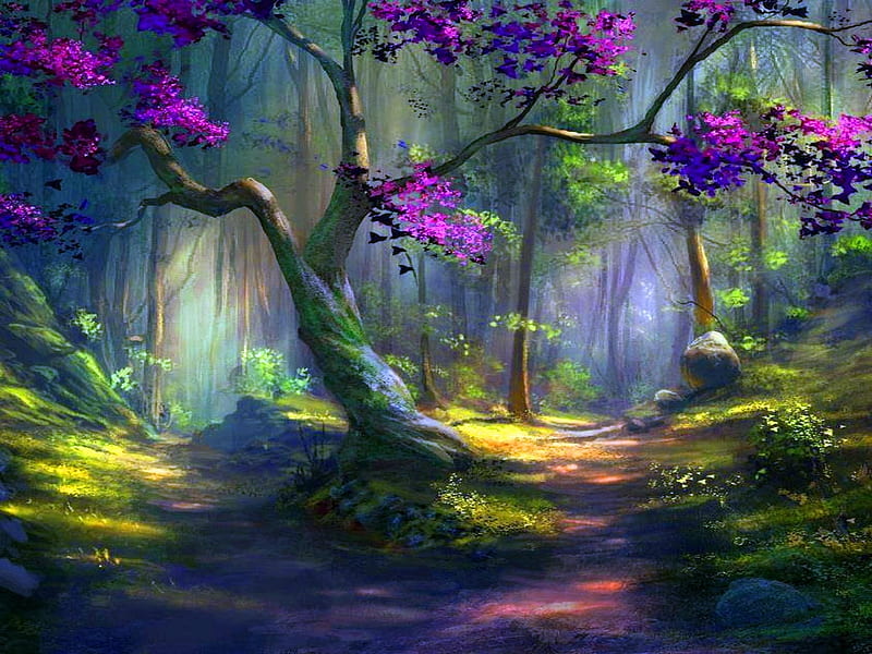 Magical, colors, beauty, forest, trees, HD wallpaper