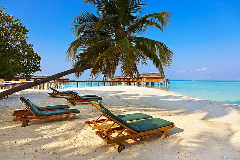 Loungers on Maldives Beach, Sand, Coast, Outdoor, Summer, HD wallpaper