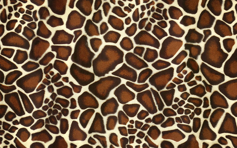 giraffe texture, macro, giraffe skin texture, brown blots texture, giraffe skin, giraffe background, zebra wool, giraffe leather background, HD wallpaper