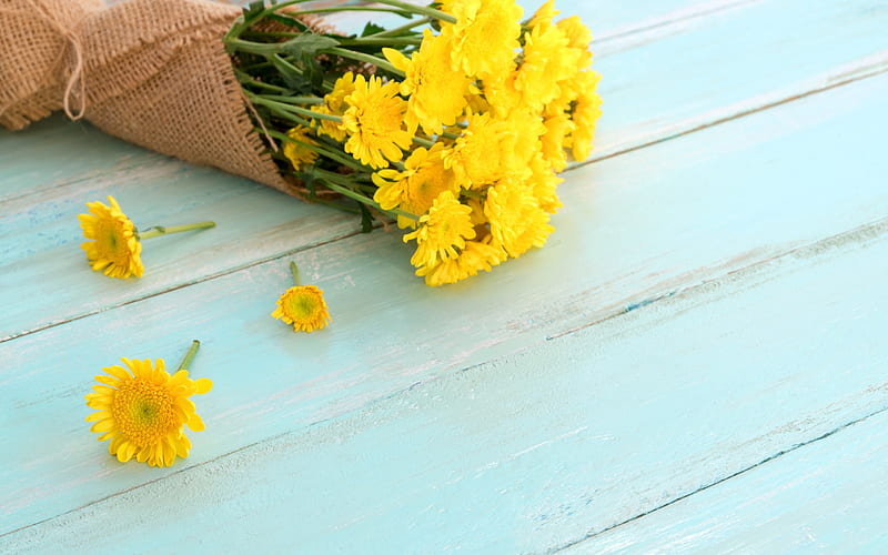 yellow chrysanthemums, spring bouquet, yellow flowers, spring, chrysanthemums, HD wallpaper