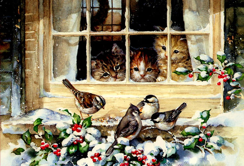 Bird Watching, window, berries, snow, kittens, birds, holly, HD wallpaper