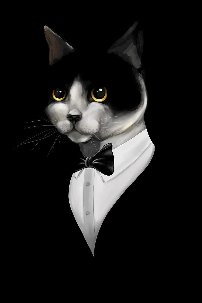cat, tuxedo, pet, black, art, HD phone wallpaper