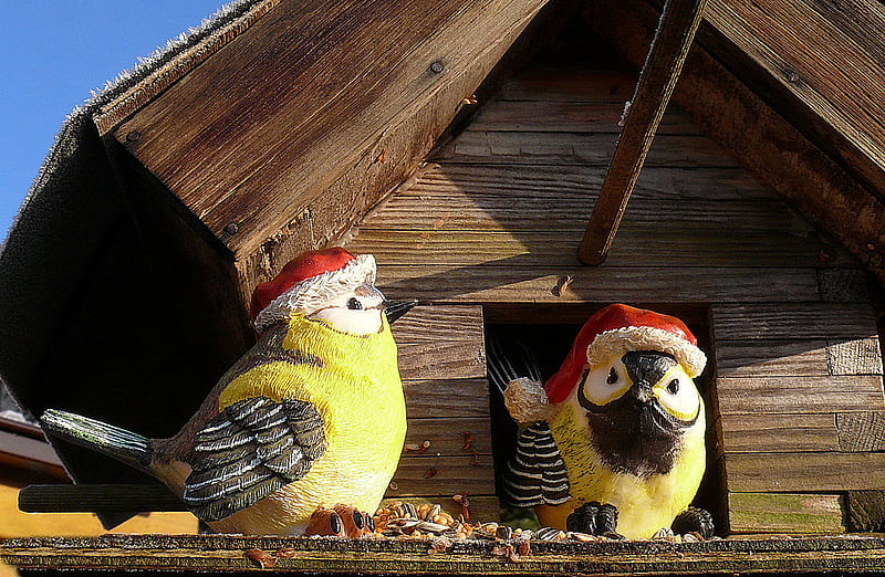 Christmas Birds for my Friend Pufulete, bonito, birds house, sanntas hat, two birds figure, HD wallpaper